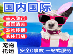 成都机场空运国际宠物托运 【国
